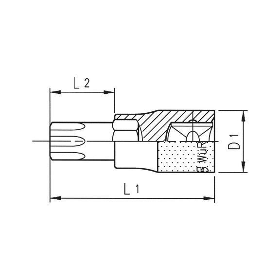 Викрутка головка 1/2" TORX T55 ГОЛОВКА-1 / 2ZO-INTX-TX55 ZEBRA Wurth ( 071513355)(1шт) 071513355 фото
